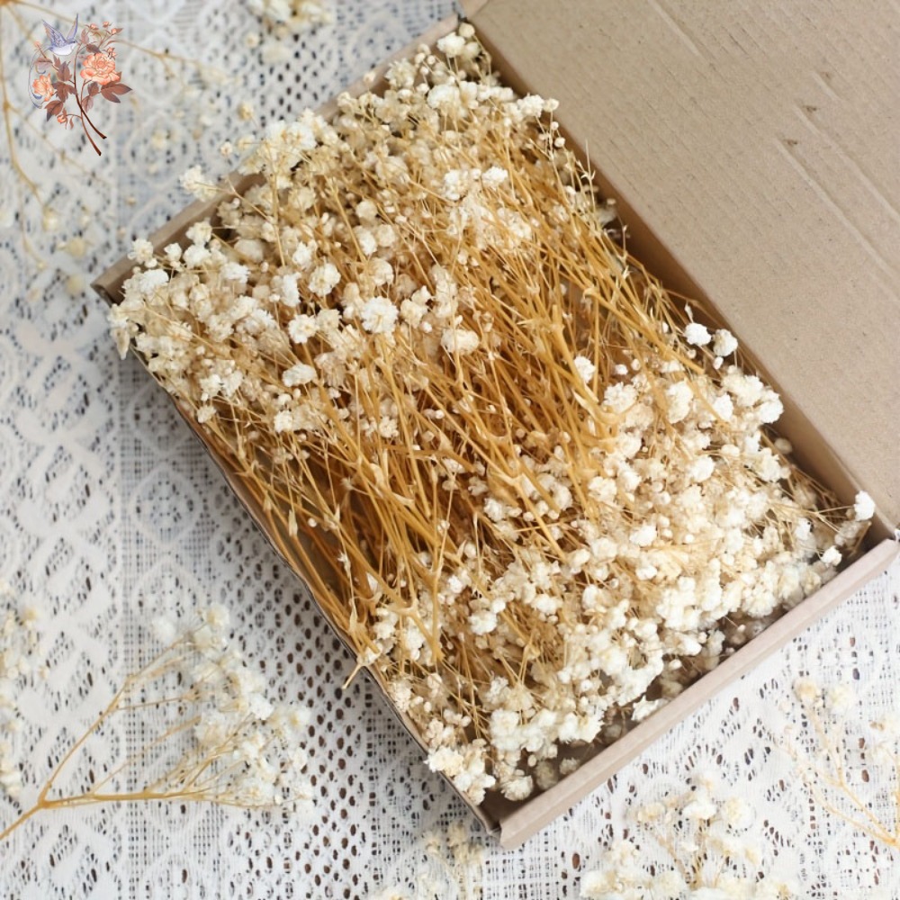 100 Peças de Flores Secas Mini - Embellish Craft avaliação e preço